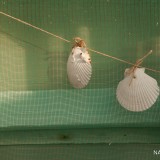 paracas-peru-nati-bainotti-mi-vida-en-una-mochila (6)